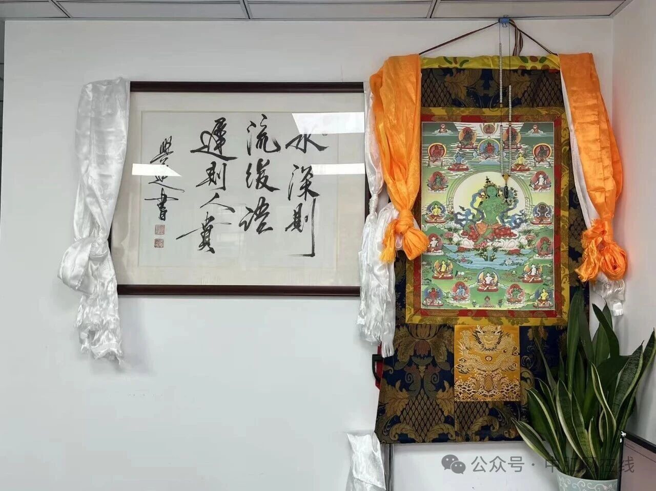 微信图片_2026-02-03_092223_733